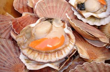 Restaurant l'Ecrin des saveurs saint jacques
